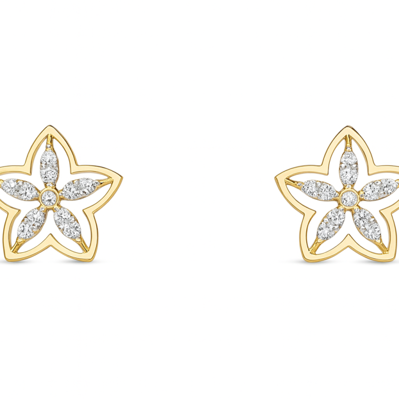 Celestial Natural Diamond Star Stud Earrings LNER0729 | IGI Certified